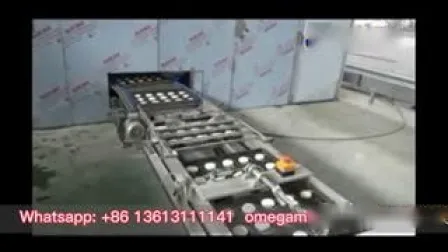 Máquinas para fabricar productos de granos, máquina para hacer panecillos de hamburguesa Baozi chinos, línea de producción de pan de panadería
