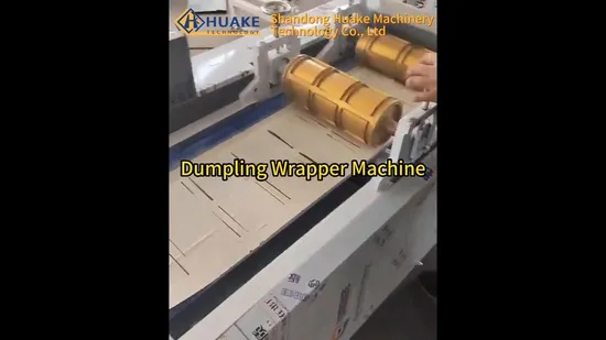 Máquina para hacer envoltorios de wonton de varias formas