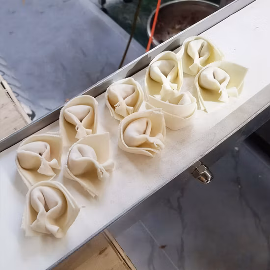 Máquina automática para hacer wontons, máquina para hacer dumplings, máquina para doblar y envolver wontons, precio